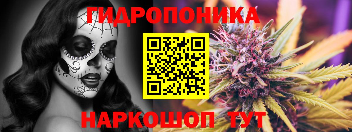 Шишки марихуана конопля Острогожск